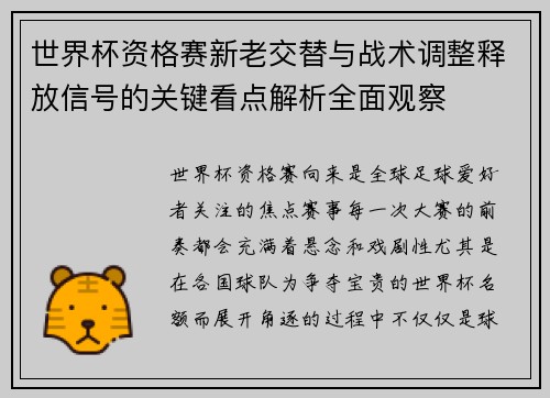 世界杯资格赛新老交替与战术调整释放信号的关键看点解析全面观察